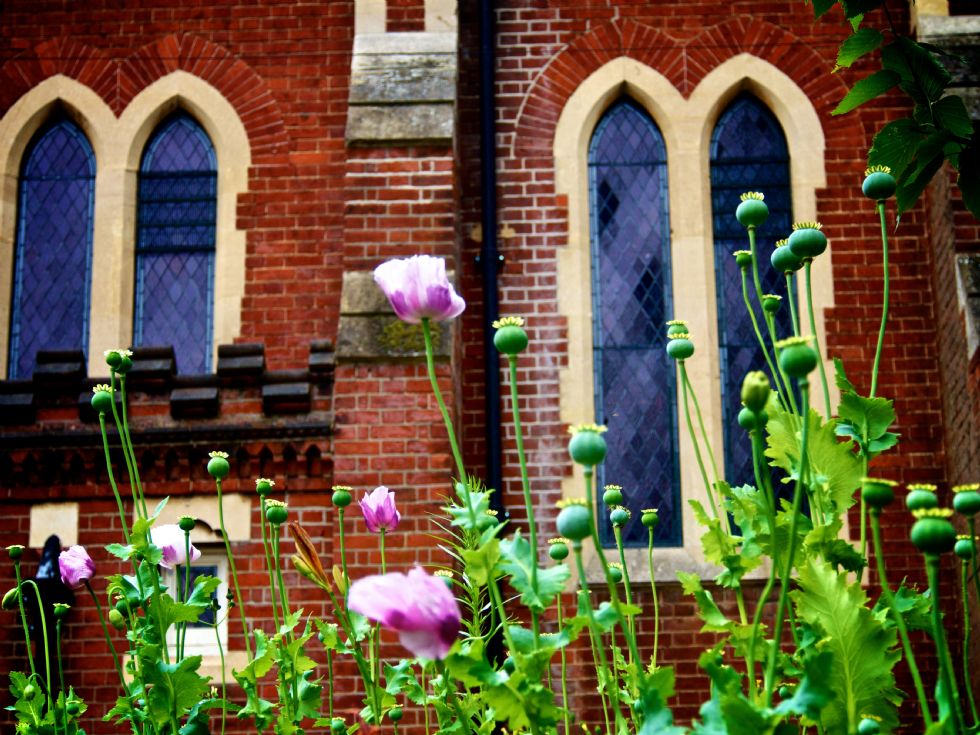  Outside photo of building with flowers