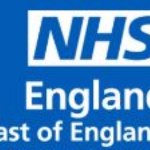 Aspiring Allies virtual work experience