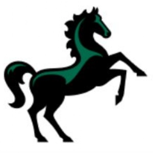 Insight into Lloyds Banking Group Virtual Event for students in school/college​​​​​​​
