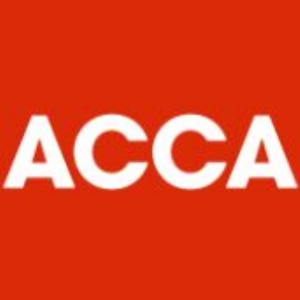 Redefining the Accountant