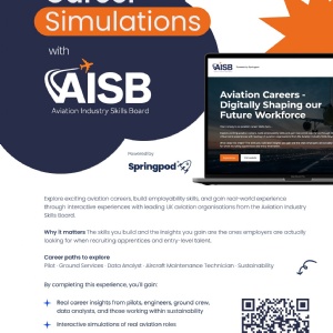 Aviation Career Simulations
